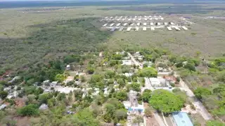 Kekén acosa a activistas  que luchan contra la contaminación por las granjas porcícolas en Yucatán