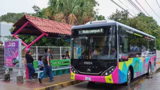 Caso “Amor X Carmen” exhibe incongruencia y descontento social en Campeche