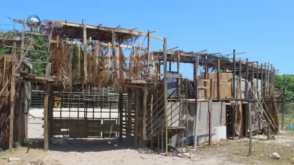 Termina el armado de los cosos taurinos en Chicxulub Puerto y Chelem para el inicio de las corridas Termina el armado de los cosos taurinos en Chicxulub Puerto y Chelem para el inicio de las corridas