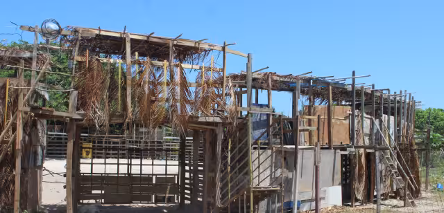 Termina el armado de los cosos taurinos en Chicxulub Puerto y Chelem para el inicio de las corridas