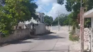 Rescatan a un perro con las vísceras expuestas tras brutal ataque en Santa Rosa de Lima
