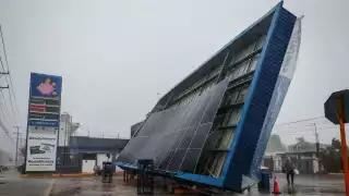 ¡Lluvia desata caos en Chetumal! Reportan árboles caídos, inundaciones y estructuras colapsadas