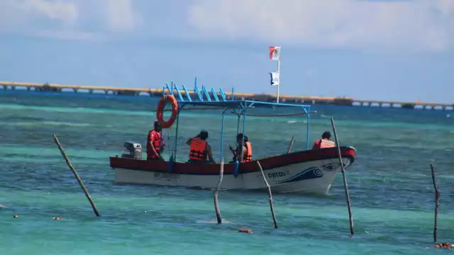 Las actividades portuarias en Quintana Roo fueron reducidas