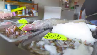 En cada zarpe, los pescadores desembolsan alrededor de 5 mil pesos por navío, por lo que se vieron obligados a incrementar sus tarifas, para que la captura les sea redituable