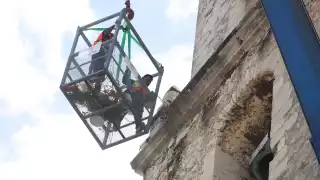 Especialistas trabajan en las alturas: retiran la maleza del campanario para rescatar la estructura