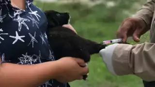 Ganaderos de Reforma Agraria, Champotón, protestaron en el Congreso de Campeche por abandono de la SDA desde 2021.