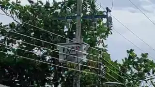 Vecinos de la colonia Esperanza en Escárcega llevan tres días sin energía eléctrica debido a un transformador defectuoso.
