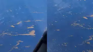 Desde una avioneta, se pudo grabar como el sargazo avanzaba a las costas de la Riviera Maya