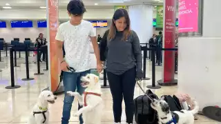 “Tomamos nuestras mascotas y decimos adiós": Familia cancunense   se muda a Guadalajara junto  a sus tres perritos    