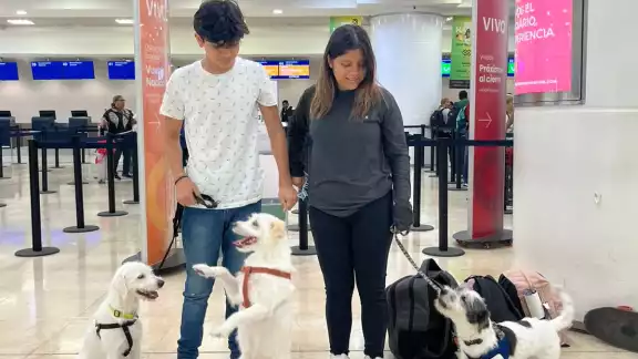 Pese a ser una decisión difícil y tener que deshacerse de sus pertenencias, sus perritos sí o sí tenían que irse con ellos