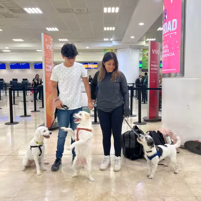 Pese a ser una decisión difícil y tener que deshacerse de sus pertenencias, sus perritos sí o sí tenían que irse con ellos