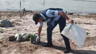 Secretaría de Marina recolecta cerca de una tonelada de basura en Chelem,   Yucatán