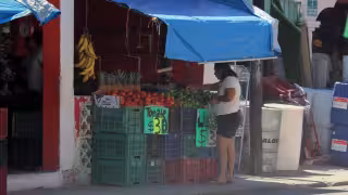 ¡Por las nubes!: Precio del limón se dispara hasta 40 pesos en Champotón