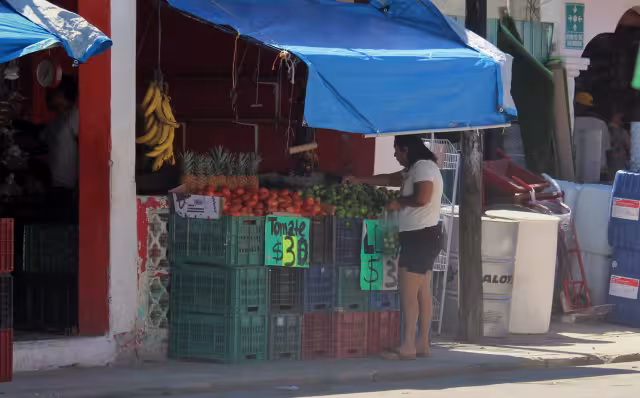 De regalado a caro: limón sube en mercados locales