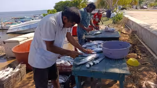 Contaminación petroquímica amenaza pesca en Campeche