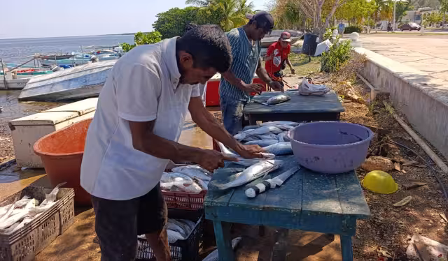 Sector pesquero teme suspensión de actividades por contaminación