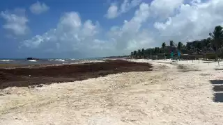 El equipo de 101 personas y siete retroexcavadoras retiran entre 150 y 200 toneladas diarias