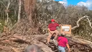 Sur de Yucatán, bajo amenaza: desmontes ilegales y expansión inmobiliaria avanzan sobre la selva