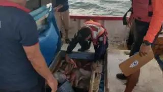 Incautan más de una tonelada de especies marinas y una  embarcación en Progreso; detienen a los tripulantes