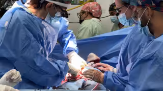 La solidaridad de una familia brinda esperanza a varias personas.