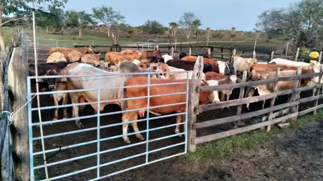Las zonas bajas son difíciles de cruzar por el lodazal.