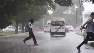 En Benito Juárez se prevén chubascos con actividad eléctrica hacia la tarde-noche