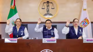 Tribunal Electoral de Campeche desecha dos expedientes.