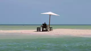 La Profepa invitó a denunciar a través de correo electrónico o bien presentar el reporte llamando al 800-profepa