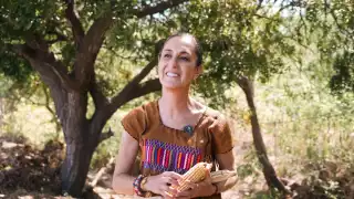 Claudia Sheinbaum presenta reforma constitucional en protección al maíz en México.