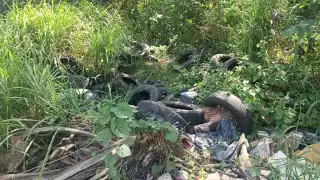 La acumulación de basura afecta la salude de los habitantes