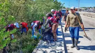 Recogen 862 kilos de basura en humedales del Litoral Oriente de Yucatán