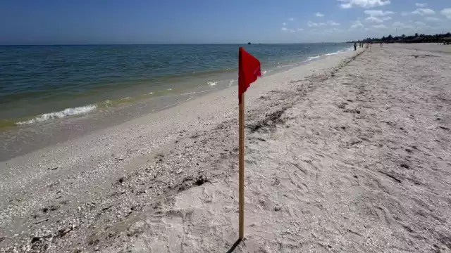 El polígono restrictivo para la pesca,  se redujo a una franja de 15 kilómetros mar adentro desde Progreso hasta Sisal