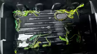 Hombre que pretendía viajar con 299 reptiles es detenido en el Aeropuerto Internacional de la Ciudad de México 