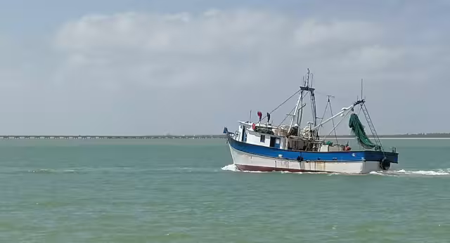 La temporada camaronera 2025–2026 ha sido negativa para el sector pesquero.