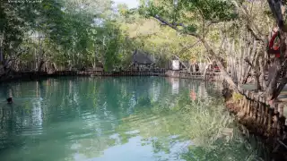   El Corchito, área natural ideal para visitar en Semana Santa en Yucatán: Costos de entrada y ubicación  