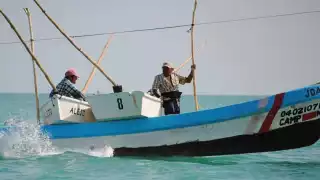 La necesidad obliga a los pescadores a arriesgar su patrimonio y vida debido a la escasez de especies y la pesca furtiva.