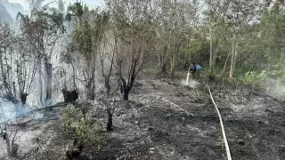Dan recomendaciones para evitar incendios