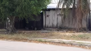 El ladrón se llevó un televisor