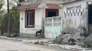 Tras esperar 40 minutos sus amigos forzaron la puerta del baño