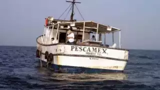 Un marinero perdió la  vida tras vomitar sangre.