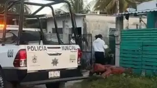 Suicidios se elevan en Campeche; 14 han terminado con su vida en lo que va del año