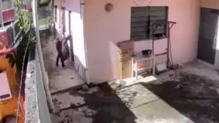 Vecinos de Chetumal temen ser afectados por los robos