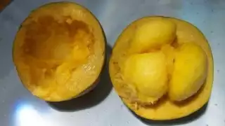 Esta es la fruta exótica que está en riesgo de desaparecer en Yucatán por el crecimiento urbano   