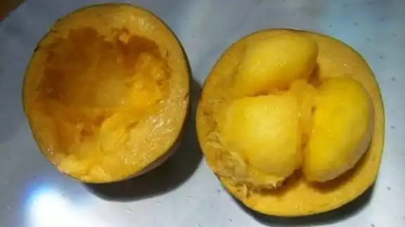 Los pobladores han comenzado a preocuparse por la posible extinción de esta fruta