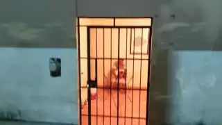 Fallece el otro joven apuñalado en Felipe Carrillo Puerto; detienen a la madre de los responsables