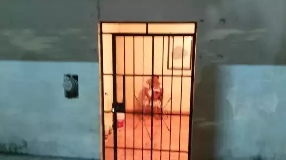 Fallece el otro joven apuñalado en Felipe Carrillo Puerto; detienen a la madre de los responsables