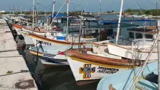 Pescadores de Yucatán le temen al cordonazo de la  Santa Cruz; toman medidas pese  a no tener alerta