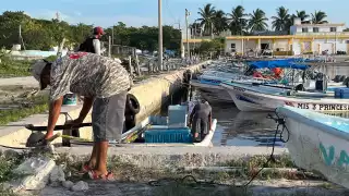 Crisis del pulpo en Yucatán: pescadores del litoral Oriente denuncian sobreexplotación y pesca furtiva  