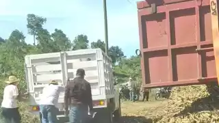 Un camión cañero volcó en la carretera estatal Hool a Santo Domingo Kesté, municipio de Champotón