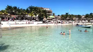 Ambientalistas advirtieron que corren riesgos especies marinas.